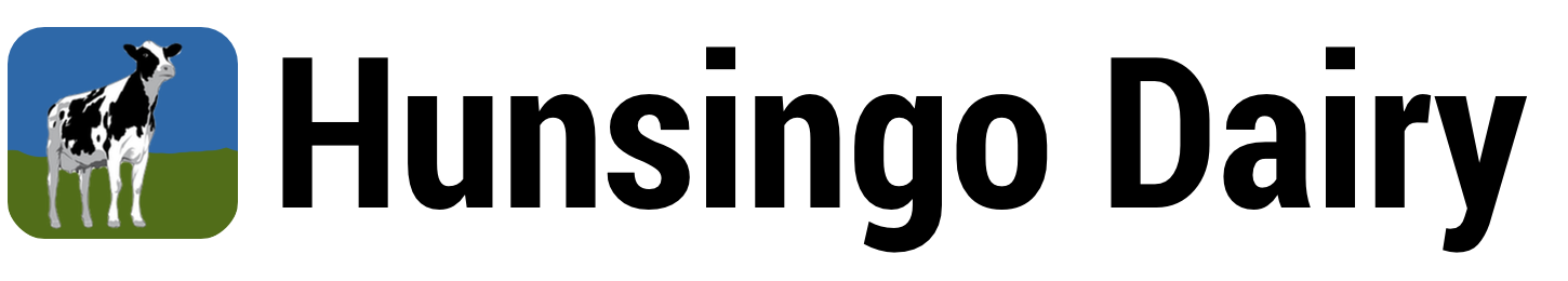 Dairy cows